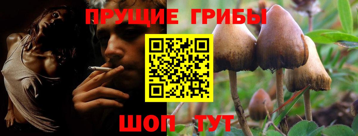 Псилоцибиновые грибы Psilocybine cubensis  Вход с VPN  Псилоцибиновые грибы мицелий  Сатка 